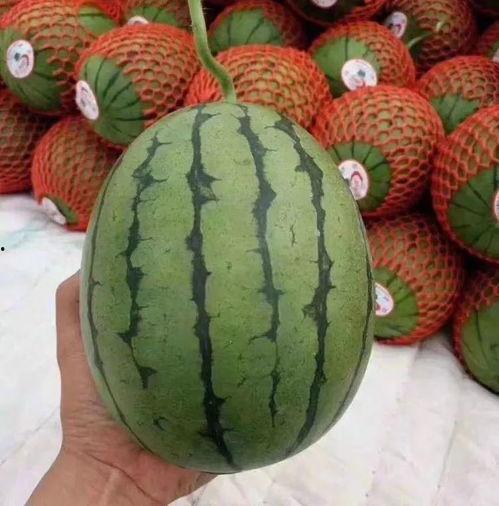 吃瓜不聊瓜,吃瓜群众眼中的幕后真相