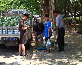 许昌吃瓜群众,吃瓜群众的热议焦点