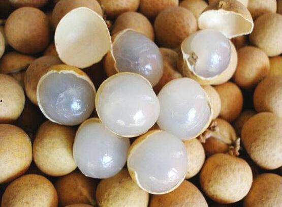 吃瓜可以吃桂圆吗,吃瓜也能吃出桂圆的甜蜜滋味