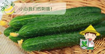 吃瓜黄的瓜,揭秘吃瓜黄瓜的趣味时光