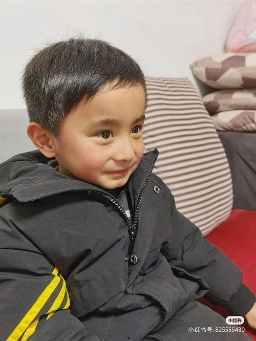 八卦吃瓜拉拉,揭秘娱乐圈幕后故事