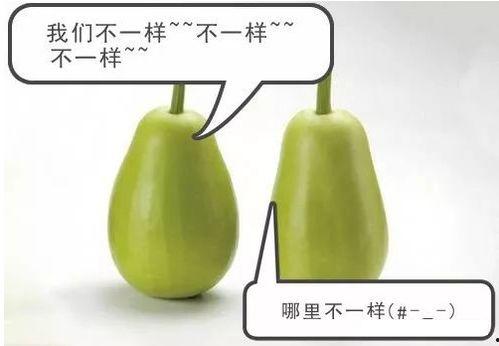 安府吃瓜,揭秘娱乐圈背后的那些事儿