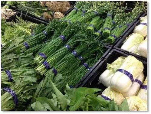 带你吃瓜逮虾,带你走进“吃瓜逮虾”的欢乐世界