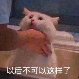 朝阳哥哥吃瓜,揭秘娱乐圈幕后真相