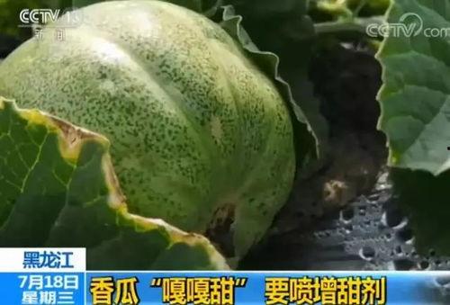 不给对方吃瓜,聚焦自我成长