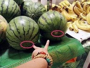 吃瓜多了手发黄吗,吃瓜过多引发手部发黄现象揭秘