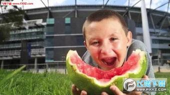 刘德华吃瓜表情包图片