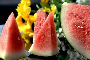 吃瓜西瓜照片大全