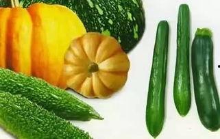 灯灯吃瓜,揭秘娱乐圈那些不为人知的幕后故事