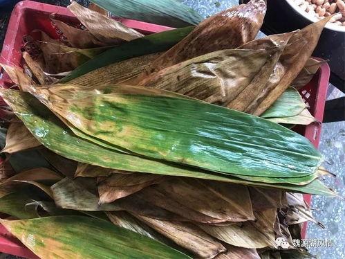 东升家园吃瓜,一场吃瓜盛宴背后的社区故事