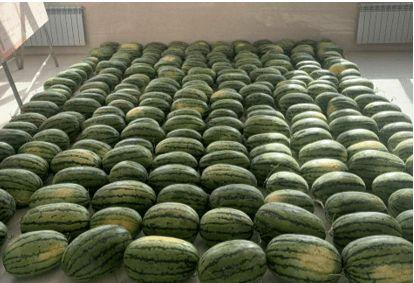 西昌吃瓜的新闻,揭秘背后真相与网络热议