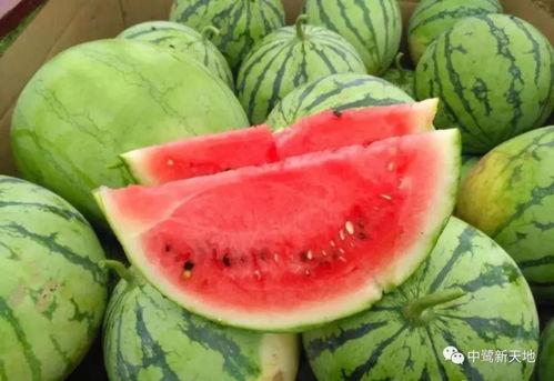 射阳吃瓜孙家,揭秘孙家背后的故事