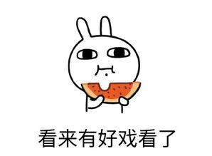 专注吃瓜文案短句
